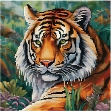 Kit Punto Croce Tigre, Schemi