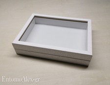 scatola entomologica legno BIANCA 19X26 plastazote entomologia cassetta insetti