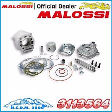 3113564 GRUPPO TERMICO MALOSSI