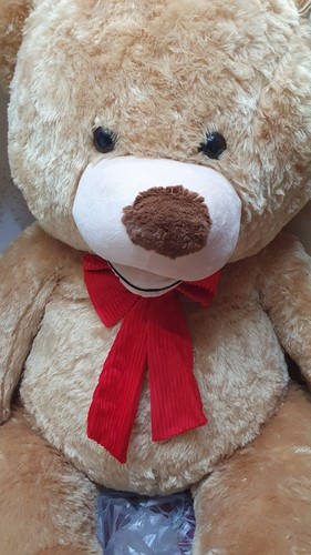 San valentino 2026 - san, peluche