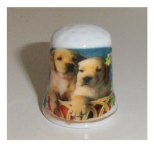 Ditale in ceramica, animali cani due cuccioli labrador, ditali di porcellana