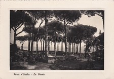 PORTO D'ISCHIA: La Pineta...con al verso timbrino Albergo/pensione "S. Pietro"