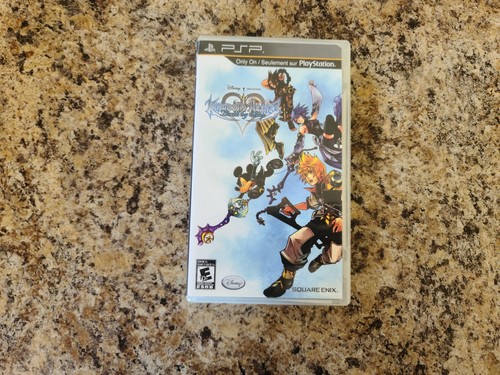 Kingdom hearts birth sleep - kingdom,