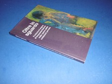 OLTRE LO SGUARDO IL COLORE E IL SEGNO DI INNOCENTE SALVINI