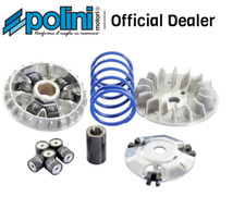VARIATORE HI SPEED POLINI