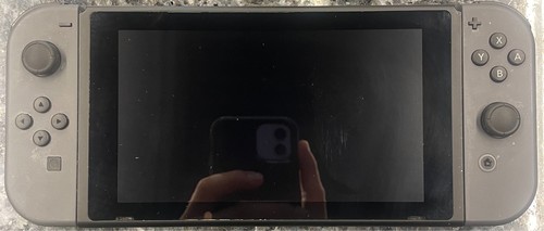 Nintendo switch gray joycons - w/gray,