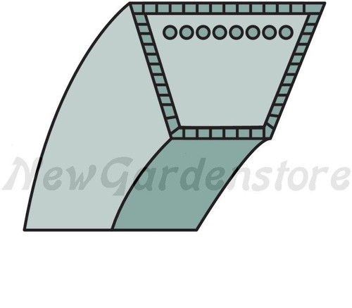 Cinghia trapeziodale