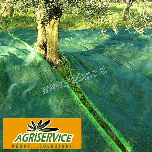 Telo rete raccolta olive - telo,