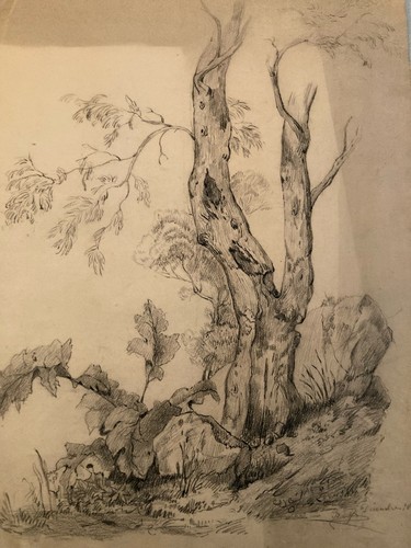 Grande disegno xix - grande, 1888