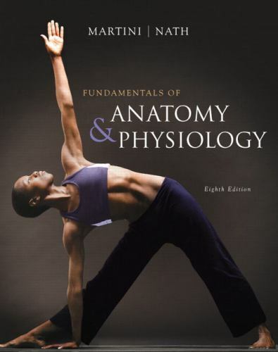 Fundamentals anatomy - of,