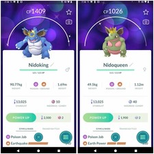 ✨ Costume Shiny Nidoking