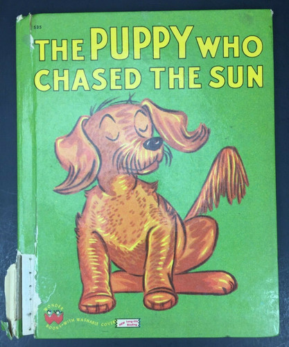 The puppy who - the, sun
