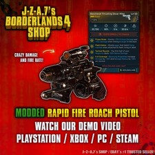 Borderlands 4✨ PISTOLA