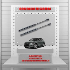 2 MOLLE A GAS BAGAGLIAIO AUDI