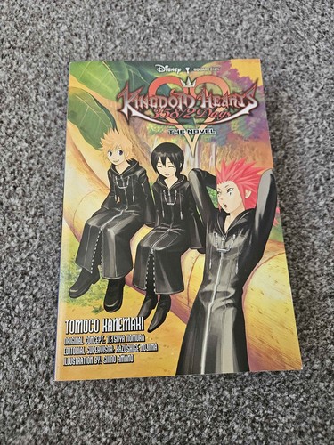 Kingdom hearts 358 days - kingdom, 358/2