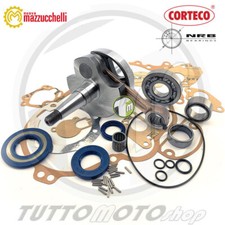 Kit Revisione Albero Motore