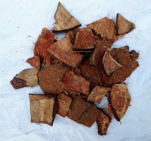 Patatine guscio cocco eco - guscio, di