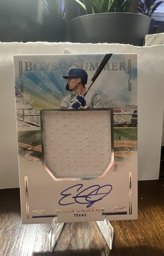 2025 panini boys summer - 2025,