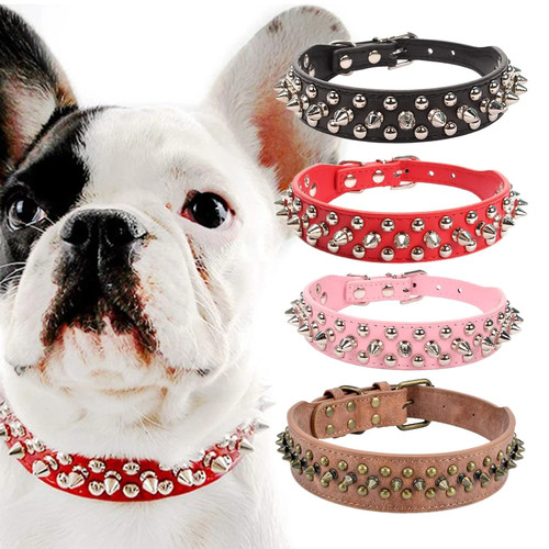 Collare cane pelle borchiata - , a