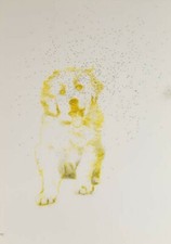 CORSINI VITTORIO tecnica mista