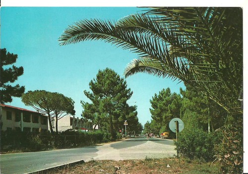 Principina mare viale - principina,