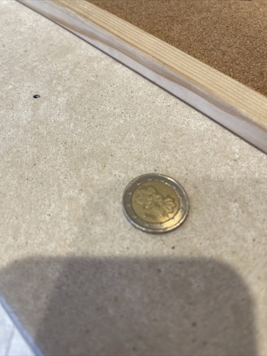 Moneta euro rara fiori - rara,