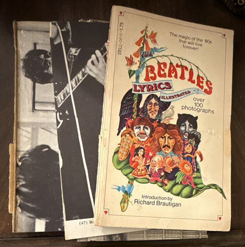 The beatles lyrics illustrated - lyrics,