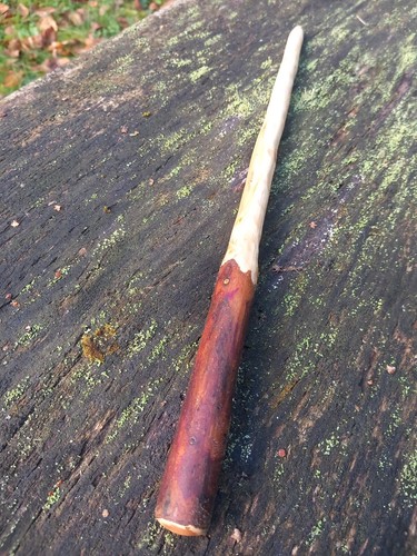 Parete juniper wood 3 - parete, n.