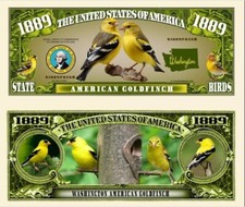 Cardellino Banconota Million