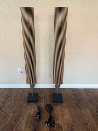 Bang olufsen beolab 8000 - b&o,