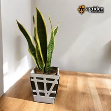 VASO MOSAIC QUADRO 17 BIANCO