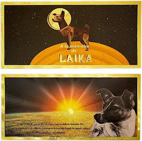Memoria laika primo cane - di,