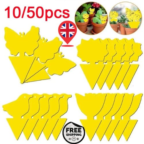 40pcs trappole mosche frutta - trappole,