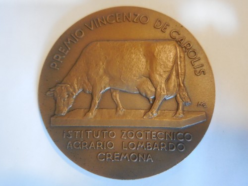 Medaglia premio vincenzo - medaglia, de