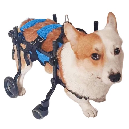 Carrello supporto - di,