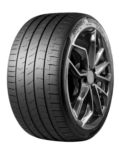 Gomme estive landspider - gomme,