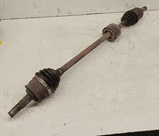 46308259 Semialbero ant