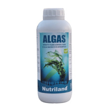 ALGAS Concime Concentrato liquido a base alghe marine brune sviluppo piante 1 lt