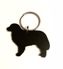 Cane Bovaro Del Bernese