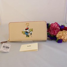 Disney, X Coach Fisarmonica