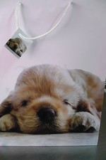 BUSTA REGALO CARTA CM 46 X 33X