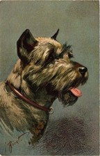 CPA Pinscher (Schnauzer) DOGS (727795)