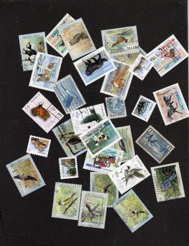 Canada only wild animals - ,
