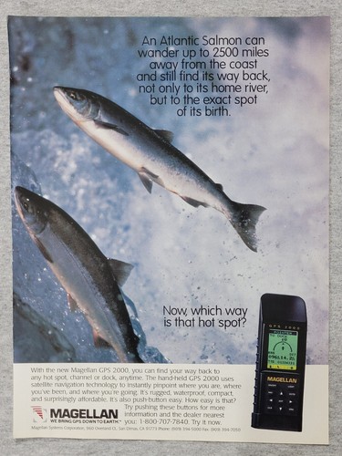 1995 rivista pagina - 1995,