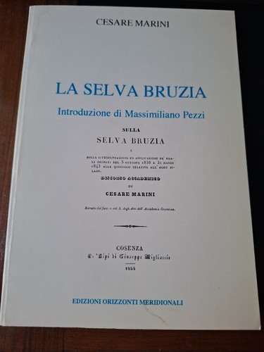 Marini cesare selva - la,