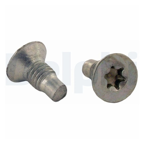 Viti delphi dischi freno - 2x,