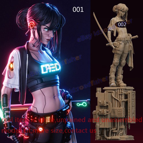 Punk samurai lady - 1/8, 1/4