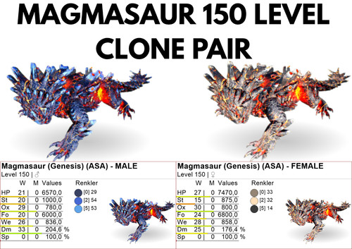 Coppia clone magmasaur - magmasaur, 150