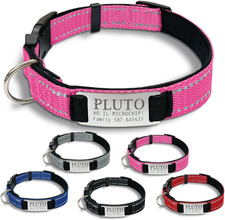 Gruppo  - Collare Cane