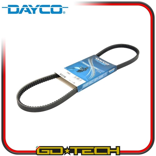 Cinghia trasmissione dayco - cinghia,